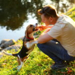 shutterstock_740610523