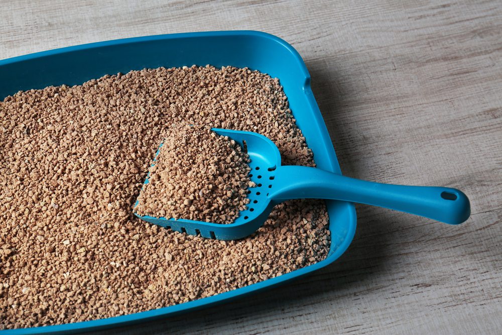 Petland_Cat_Litterbox