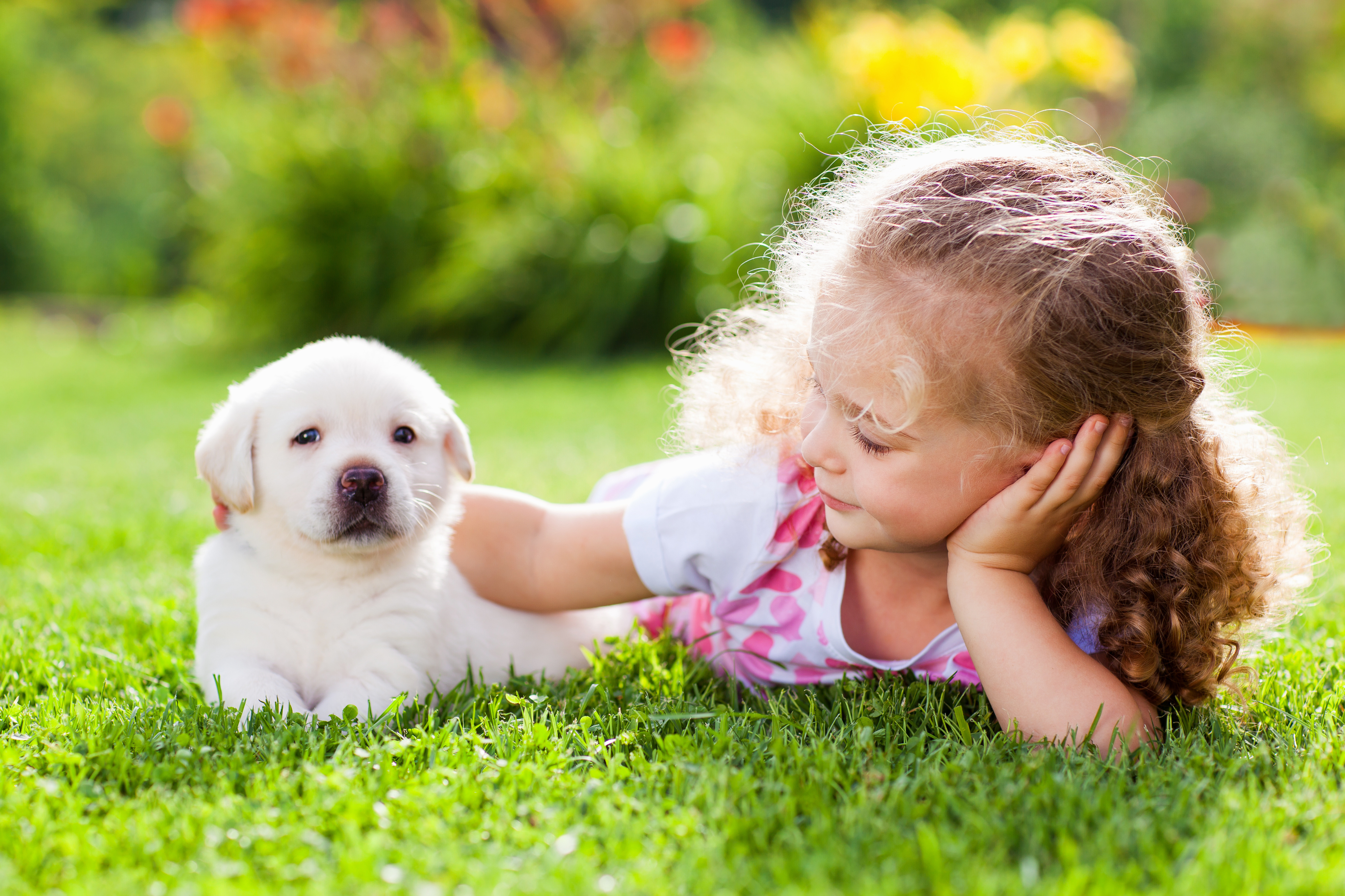 Petland Pembroke Pines picture of cute Golden Retriever puppy and a little girl sitting on a grassy field.