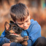 German_Shepherd_Petland_Puppy