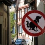 Petland_Puppy_Training