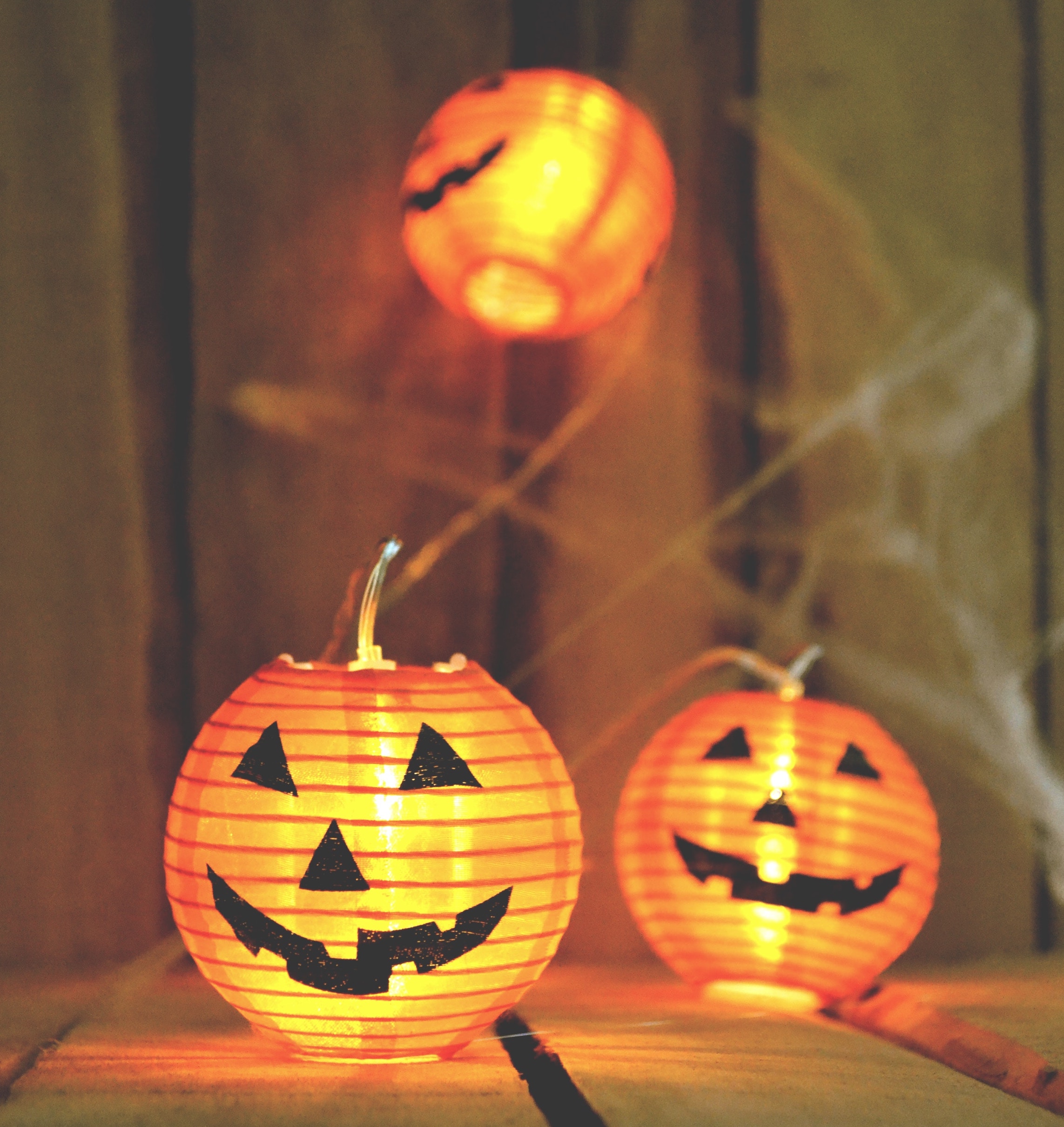 Halloween_Puppy_Petland