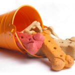 Petland_Puppy_Homemade_Treats