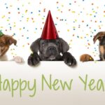 Petland_Puppies_New_Year