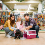 Pug_Puppy_Petland_Family