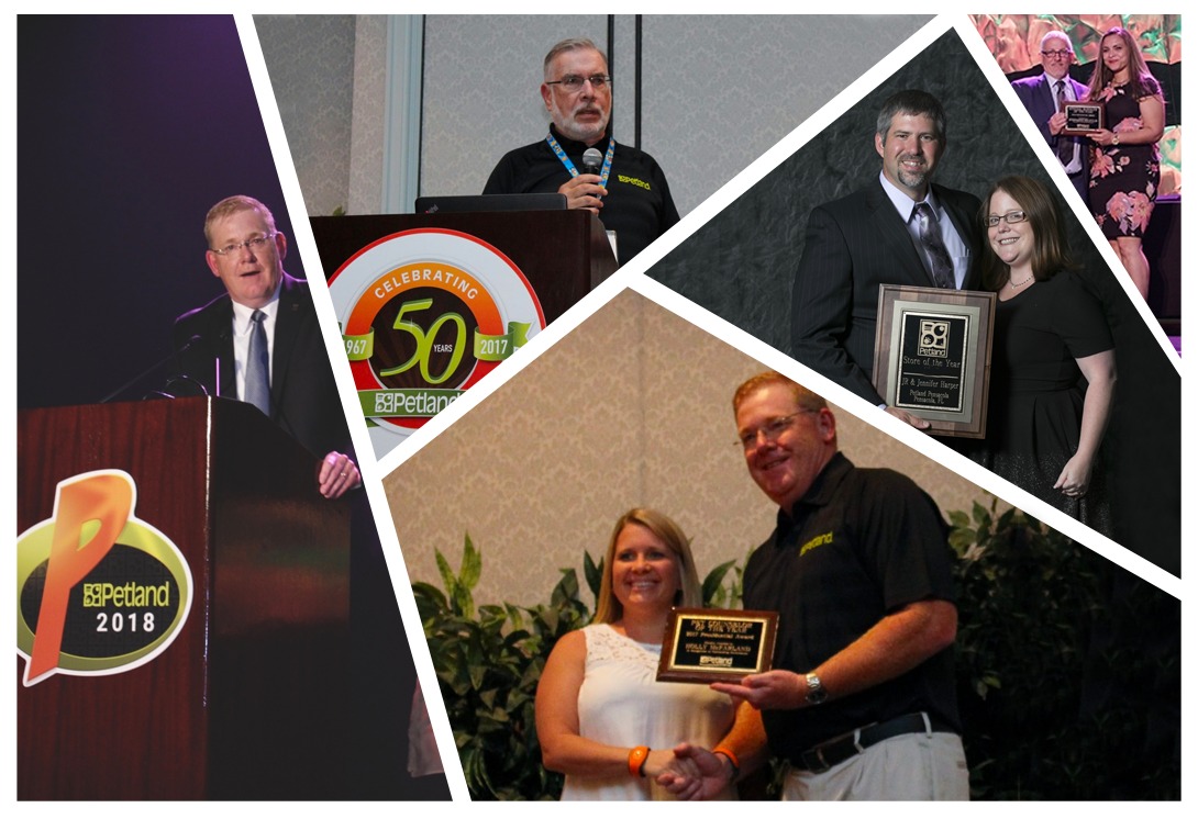 3a25bbc5-37d7-448e-a7f9-919dfd1ce42b