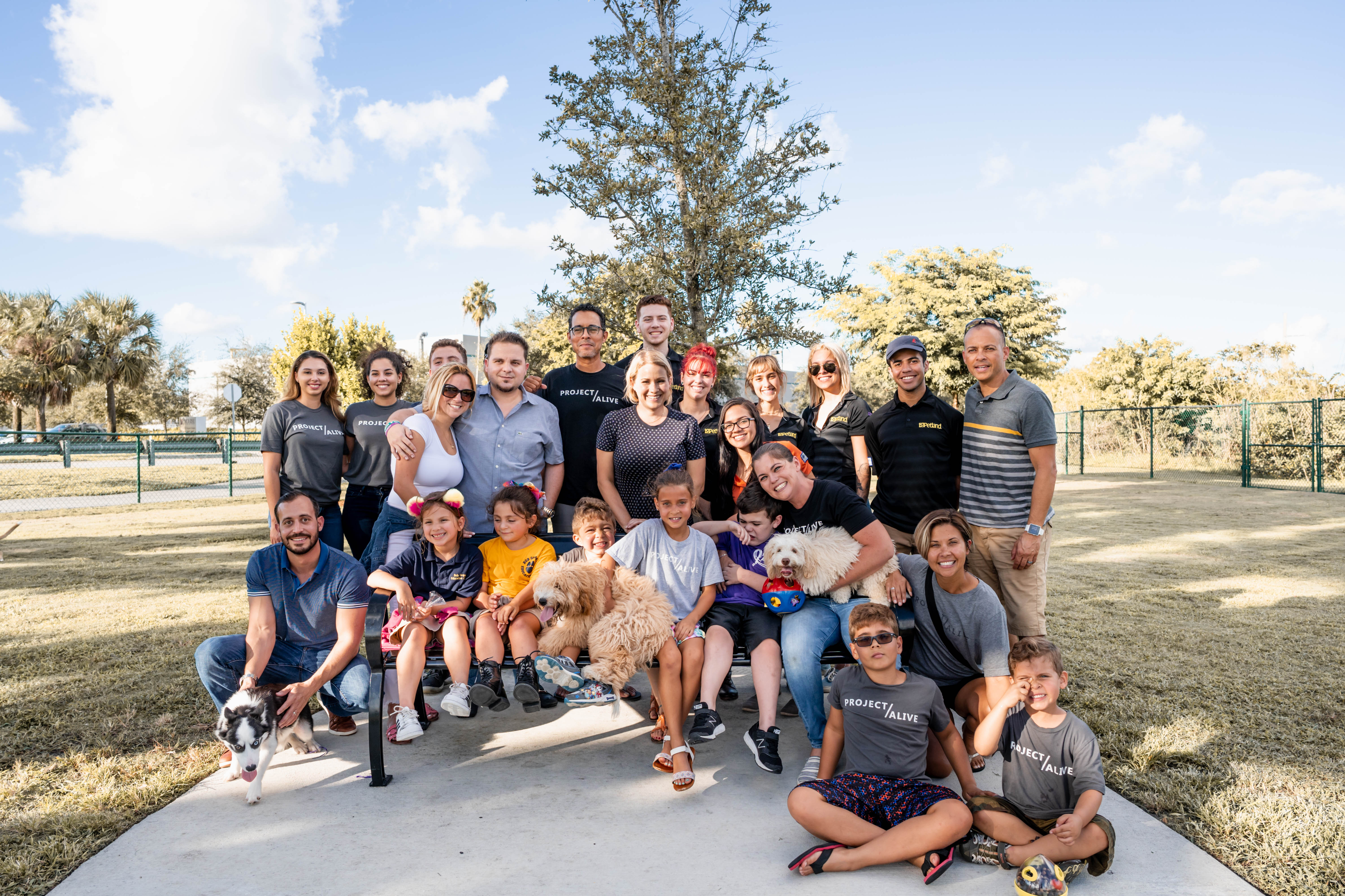 Petland_Project_Alive