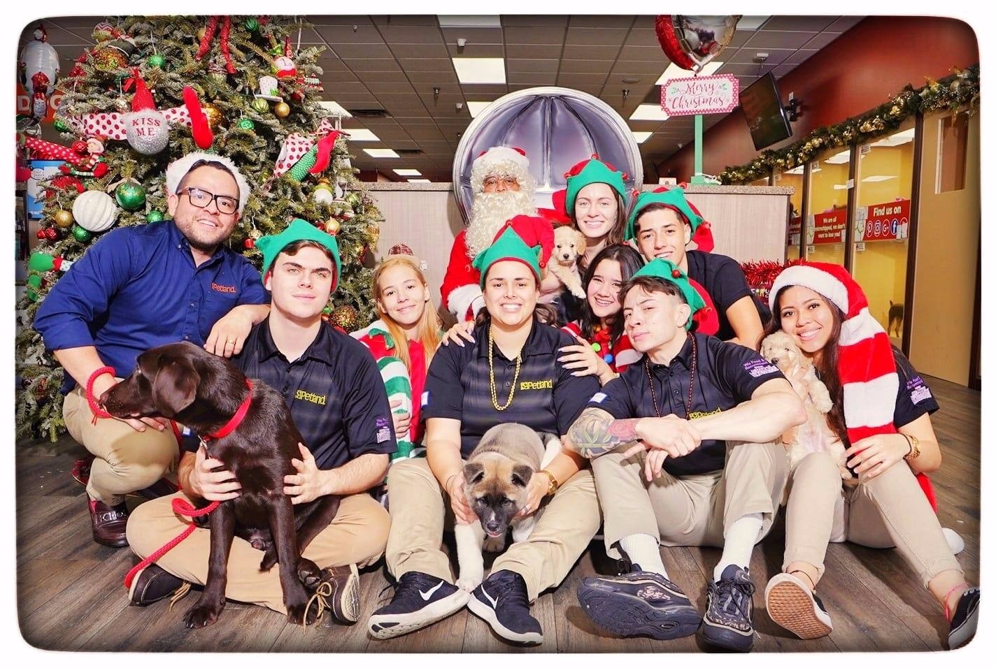 Petland_Employees_Puppies