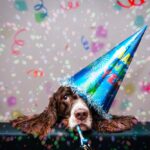 WhatsApp Image 2018-12-24 at 11.00.31 AM