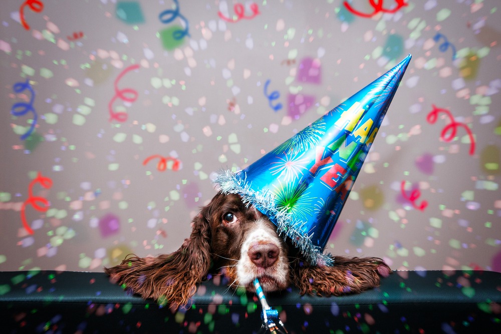 WhatsApp Image 2018-12-24 at 11.00.31 AM