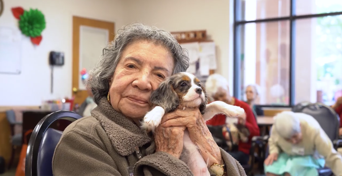 Petland_puppies_center