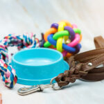 A dpg bowl, dog rope toy, leash and puzzle toy placed on a floor.