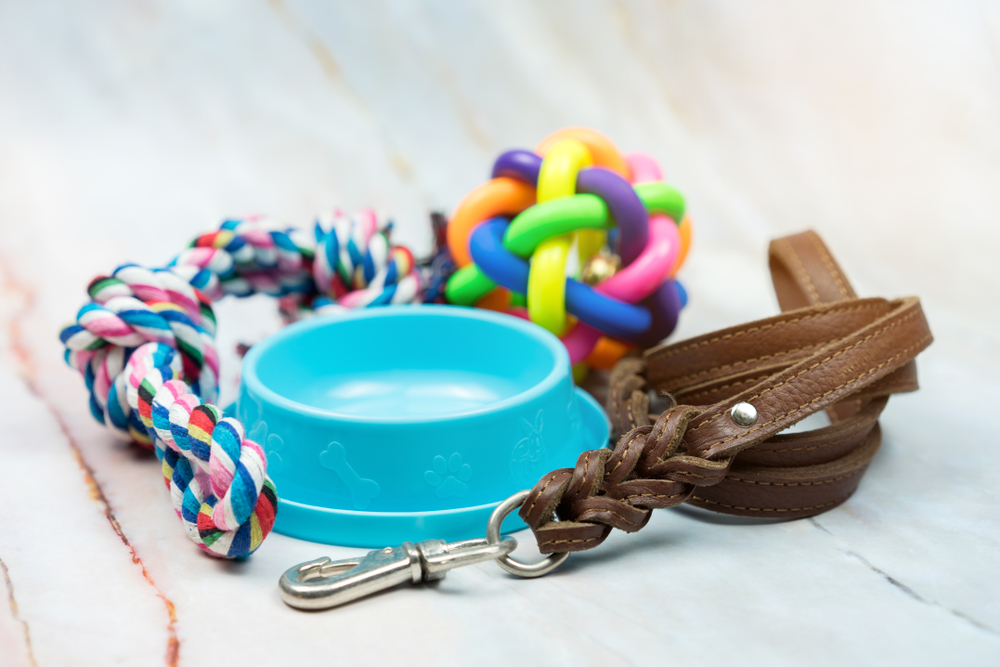 A dpg bowl, dog rope toy, leash and puzzle toy placed on a floor.