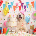 Petland Labrador Retriever puppy with a birthday cake and birthday decorations.