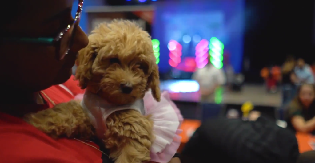 Petland_puppy_Pines_Day