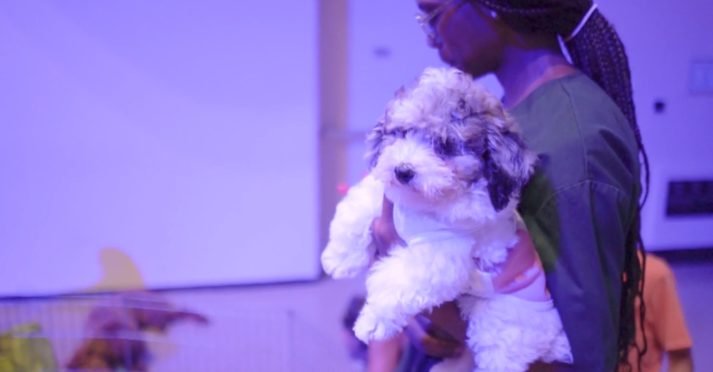 Petland Pembroke Pines picture of cute Petland puppy held by young child at Mayor's Kids Day in Pembroke Pines, FL.