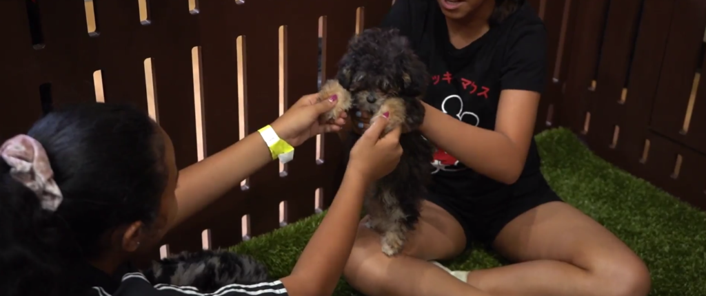 Petland_Florida_SOFLO_Battle_of-Champions