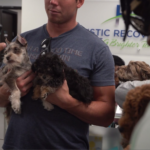 Petland puppies carried by a patient at the Holistic Recovery Center.