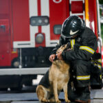 A firefighter standing with a service dog near near a fire engine.