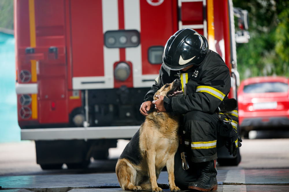 A firefighter standing with a service dog near near a fire engine.