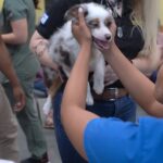 Petland Pembroke Pines picture of cute puppy being cuddled by patient at Southwest Focal Point Senior Center.