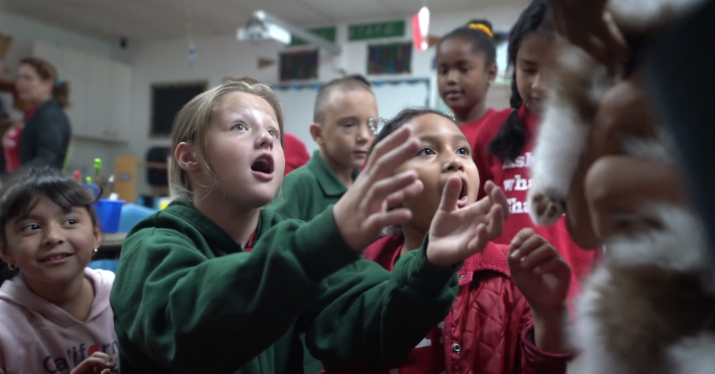 Petland Pembroke Pines picture of Crayons Christian School students at puppy playtime session with Petland puppies.