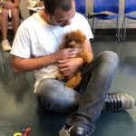 Petland Pembroke Pines picture of cute Petland puppy with a patient from the Holistic Recovery Center.