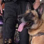 Petland Pembroke Pines picture of K-9 dog with Petland staff and K-9 commander posing for pictures.
