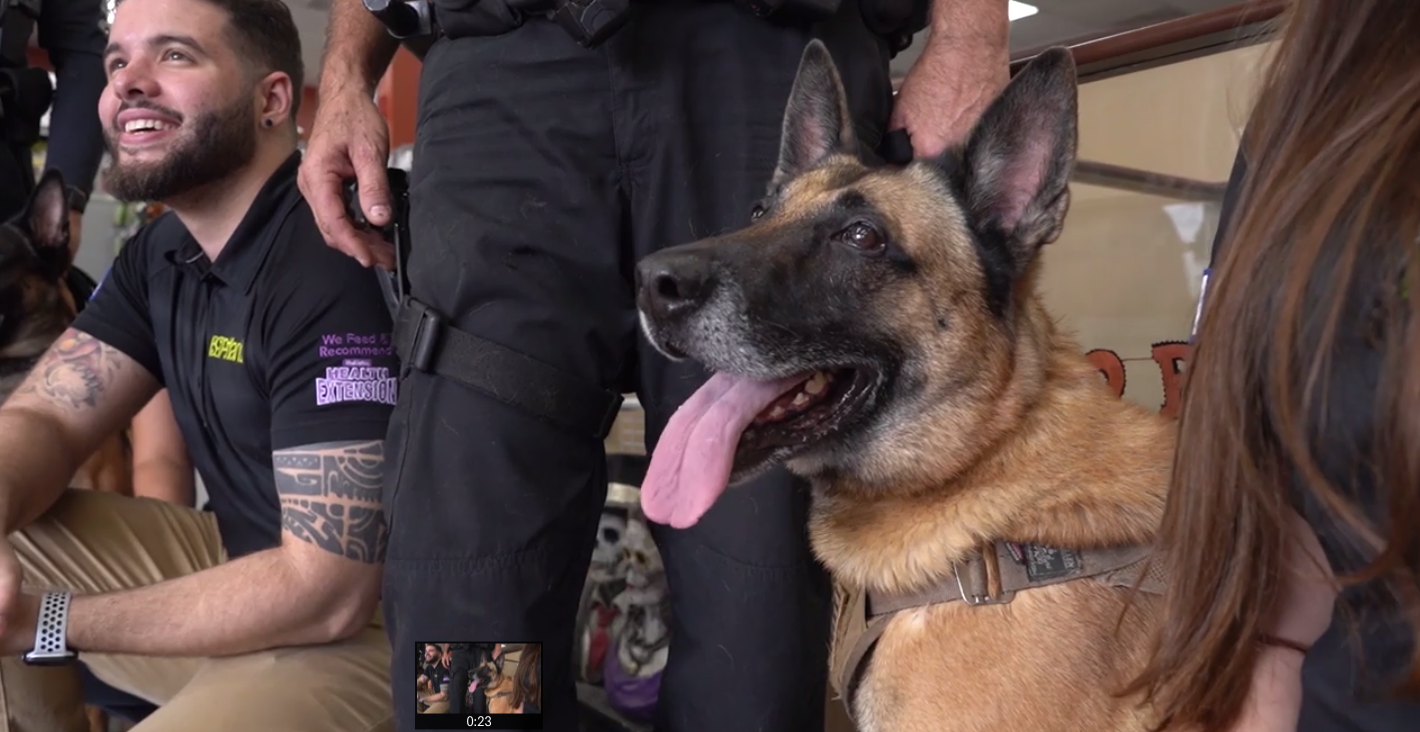 Petland Pembroke Pines picture of K-9 dog with Petland staff and K-9 commander posing for pictures.