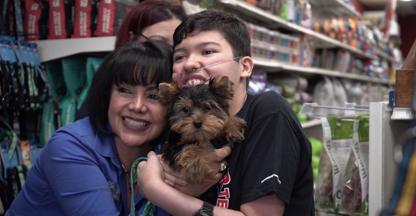 Petland Pembroke Pines picture of Sebastian holding a cute Yorkie puppy from Petland Kendall.