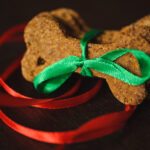 Petland Pembroke Pines picture of a homemade dog treats with green and red ribbons tied on it.