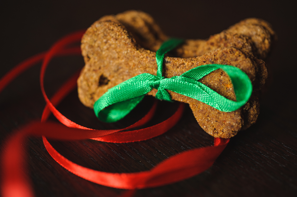 Petland Pembroke Pines picture of a homemade dog treats with green and red ribbons tied on it.