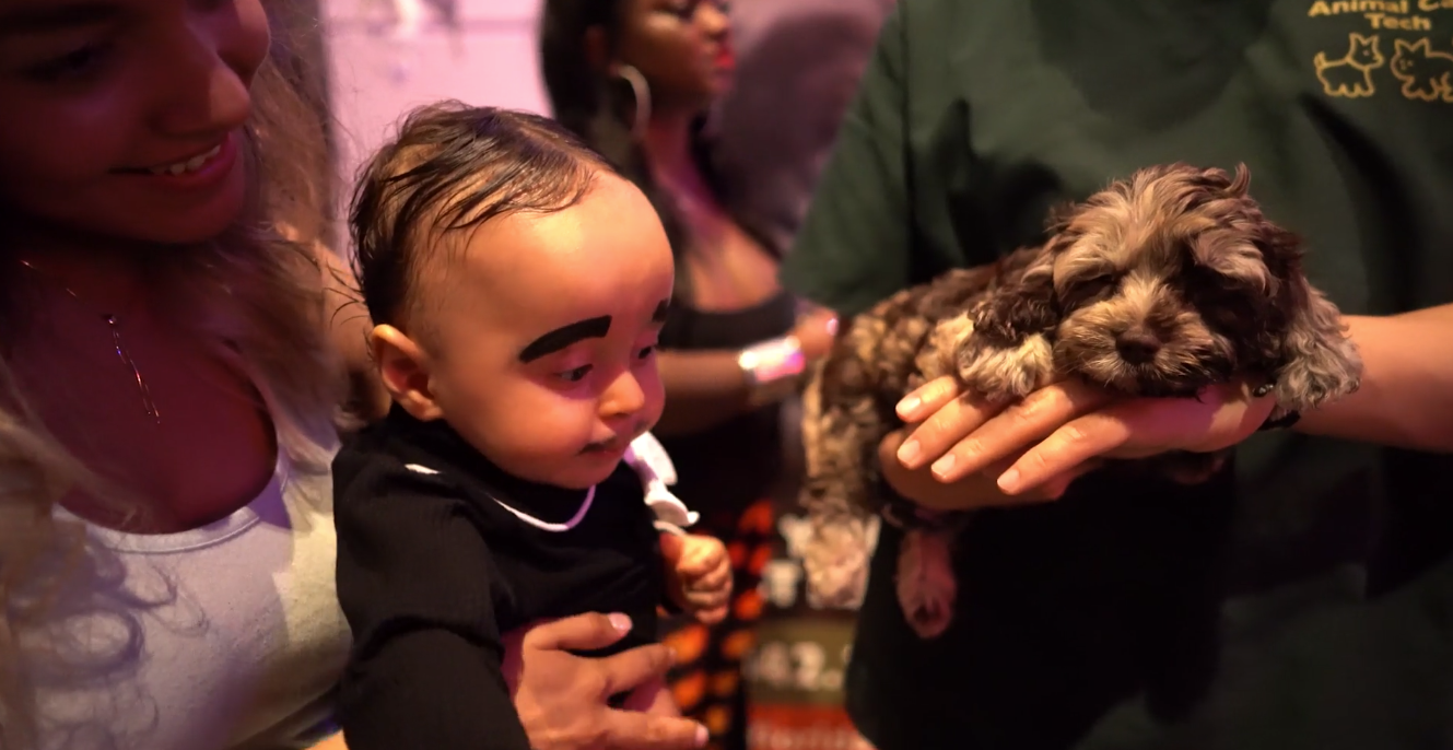 Petland Pembroke Pines picture of baby with cute Petland puppy at Boo-ville event.