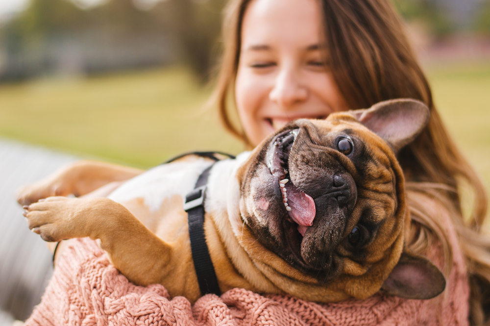 A happy puppy being held by their owner while spending a day at the park.