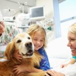 Petland Pembroke Pines picture of a young girl being visited in the hospital by a cute therapy dog.