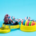 A pile of puppy products in a pile with a light blue background.