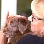 Woman kissing a cute puppy at puppy therapy event at Whole Foods Market.