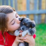 little girl kissing her Chihuahua puppy with a wooden fence background.