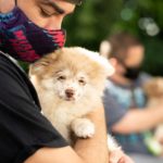 A volunteer from Petland Pembroke Pines holding a cute puppy at the WOW Center.