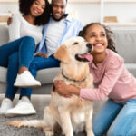 shutterstock_1966291261