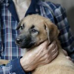 shutterstock_1980100205