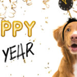 shutterstock_1709345332