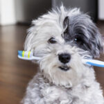 shutterstock_535412569