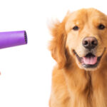 shutterstock_245448451