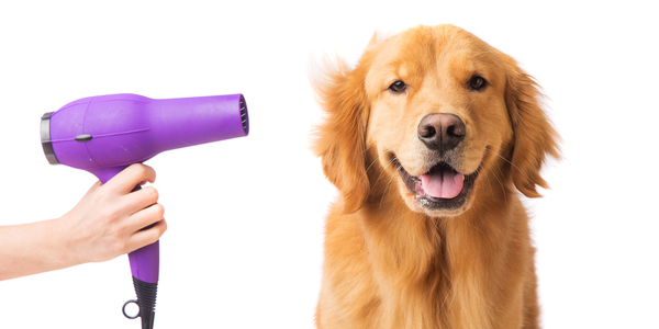 shutterstock_245448451