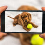 shutterstock_471910502