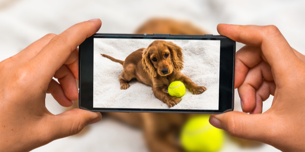 shutterstock_471910502