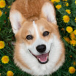 shutterstock_1724691325-1