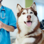 shutterstock_622117586-1