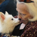 A puppy sniffing and kissing a patient from the Sodalis of Largo Center.